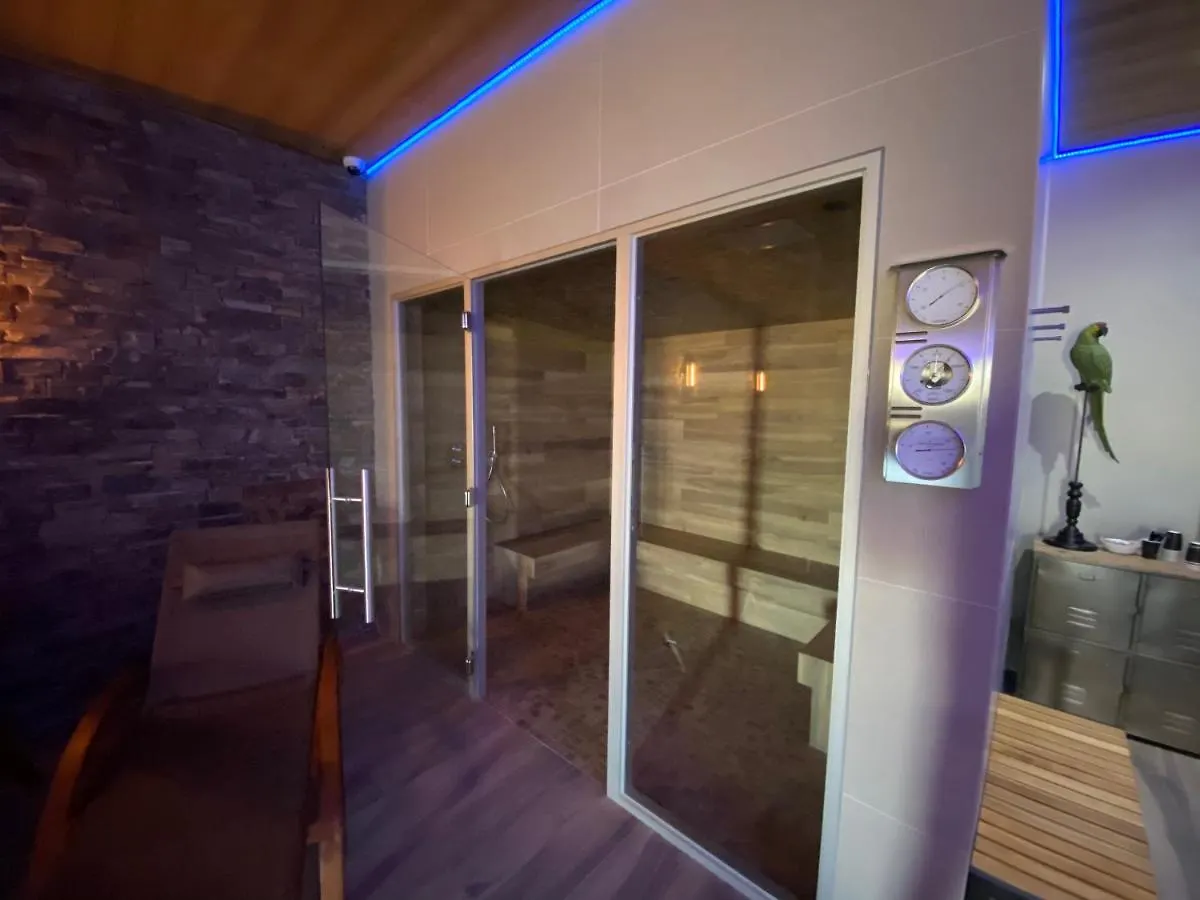 World Hotel Saint-Vulbas 3*,  Fransa